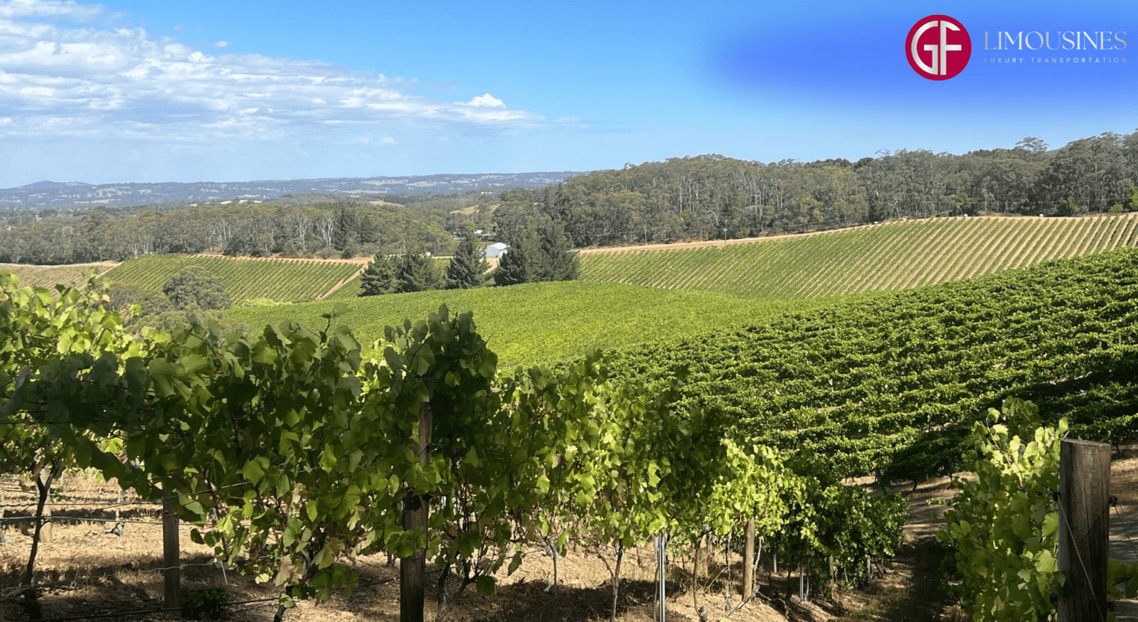 Adelaide Hills wine tours